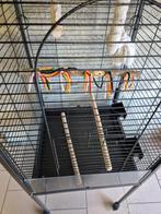 Cage perroquet ou perruche, Animaux & Accessoires, Oiseaux | Cages & Volières, Enlèvement ou Envoi, Comme neuf