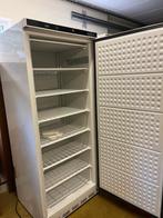 Congélateur vertical professionnel COMBISTEEL, Enlèvement, Utilisé