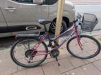 Dames fiets, klein format (goed voor vrouwen tot 165cm), Fietsen en Brommers, Ophalen, Gebruikt