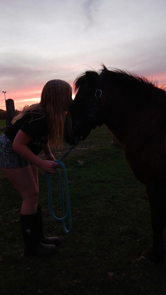 paardrijlessen aangeboden niet duur! en super leuk!!, Dieren en Toebehoren, Pony's