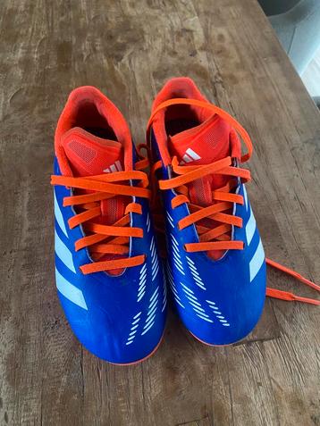 Adidas Predator maat 33 beschikbaar voor biedingen