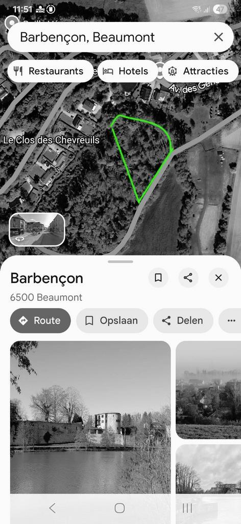 Bosgrond in Barbençon, Immo, Gronden en Bouwgronden