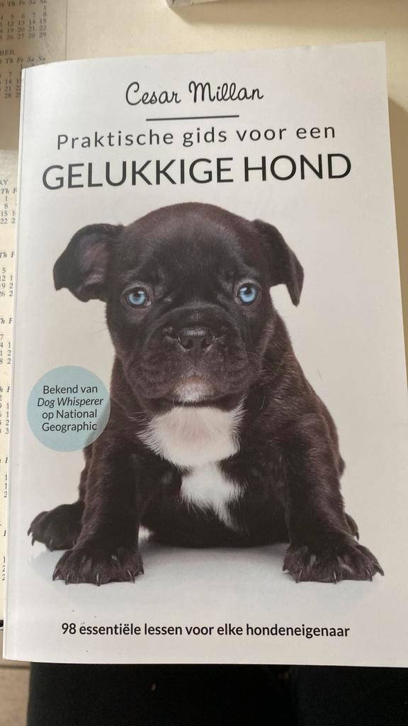 Cesar Millan - Praktische gids voor een gelukkige hond, Boeken, Dieren en Huisdieren, Zo goed als nieuw, Ophalen of Verzenden