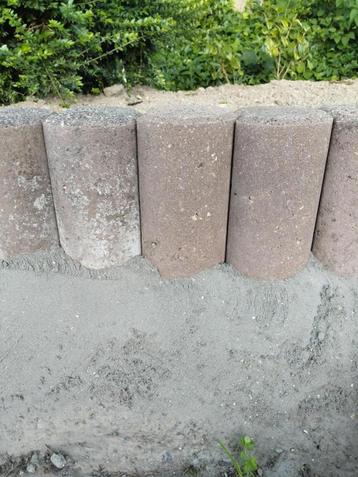Pallisade roodbruin beschikbaar voor biedingen