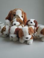 pluchen hond met 6 puppies NIEUW, Kinderen en Baby's, Ophalen, Nieuw, Hond