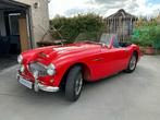 1962 Austin Healey 3000 TriCarb Oldtimer, Gebruikt, Overige brandstoffen, Bedrijf, Handgeschakeld