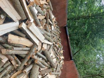 Bois de chauffage  beschikbaar voor biedingen