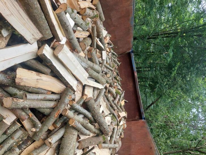 Bois de chauffage, Tuin en Terras, Brandhout, Blokken, Overige houtsoorten, 6 m³ of meer, Verzenden