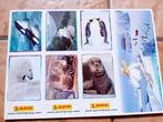 6 vignettes panini "animaux", Nieuw, Dier en Natuur