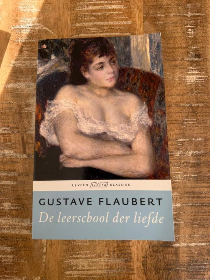 De leerschool der liefde - Gustave Flaubert, Livres, Littérature, Comme neuf, Europe autre, Enlèvement ou Envoi