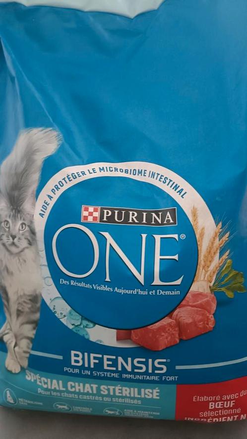 Sac PURINA ONE XXL pour poulet ou bœuf, Animaux & Accessoires, Nourriture pour Animaux, Chat, Enlèvement