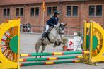 A pony, Dieren en Toebehoren, Paarden, Merrie, Springpaard, Minder dan 160 cm, Gechipt