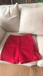 Jupe culotte 38 NEUVE, Neuf
