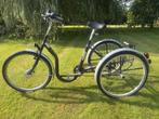 fiets driewieler, Fietsen en Brommers, Ophalen, Gebruikt, Tri-bike