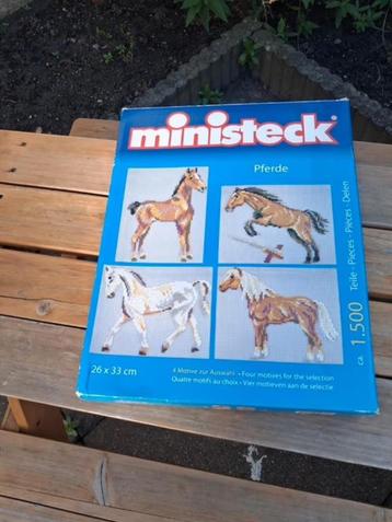 Ministeck van paarden beschikbaar voor biedingen