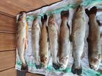 Verse forel, Animaux & Accessoires, Nourriture pour Animaux, Enlèvement