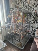 Cage, Animaux & Accessoires, Oiseaux | Cages & Volières, Enlèvement