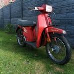 HONDA SCOOPY 50CC B-KLASSE MET PAPIEREN, Fietsen en Brommers, Brommers | Honda, Ophalen