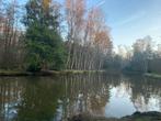 Visvijver Ham / Kwaadmechelen, Jardin & Terrasse, Étangs, Enlèvement
