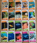 68 fotokaarten: Schatten van de oceanen, Verzamelen, 1980 tot heden, Ophalen of Verzenden, Zo goed als nieuw, Dier