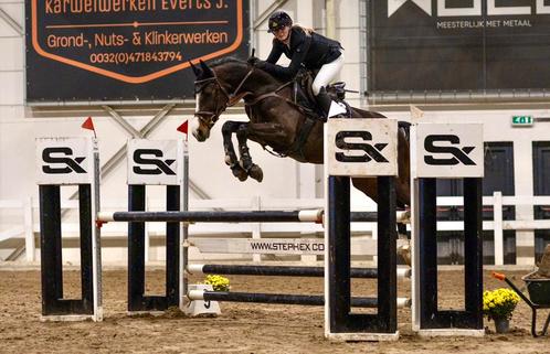 Trainen, uitbrengen op wedstrijd en zadelmak maken, Dieren en Toebehoren, Pony's