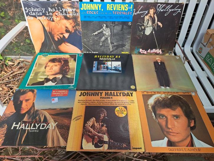 Johnny Hallyday. Bercy +33 tours en lot faire offre sur site, Cd's en Dvd's, Vinyl | Verzamelalbums, Gebruikt, Rock en Metal, 12 inch