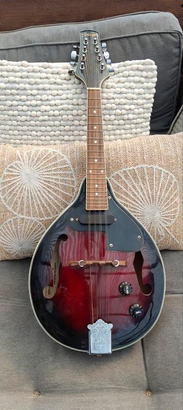 Stagg M50E mandoline, Musique & Instruments, Instruments à corde | Mandolines, Enlèvement, Utilisé