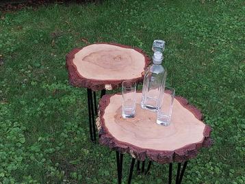 Boomstamtafel beschikbaar voor biedingen