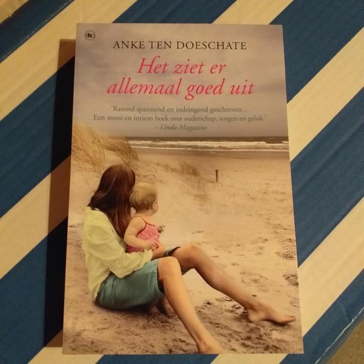 Het ziet er allemaal goed uit - Anke ten Doeschate, Livres, Littérature, Comme neuf, Belgique, Enlèvement ou Envoi