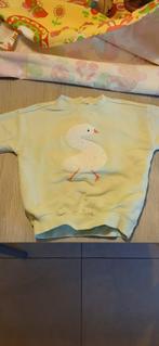 Trui, Kinderen en Baby's, Babykleding | Overige, Ophalen, Gebruikt, Hema, Jongetje of Meisje