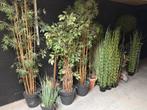 Partij kunstplanten te koop wegens stopzetting, Ophalen of Verzenden, Gebruikt, Binnen
