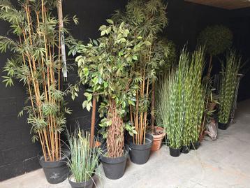 Partij kunstplanten te koop wegens stopzetting beschikbaar voor biedingen