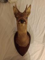 Hertenhoofd decoratie, Ophalen of Verzenden, Nieuw
