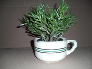 Ancien pot de chambre beschikbaar voor biedingen