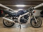Suzuki GSE 500, Permis Moto A, 2 cylindres, 499 cm³, 12 à 35 kW