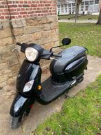 Sym Fiddle, Enlèvement, Comme neuf, Fiddle