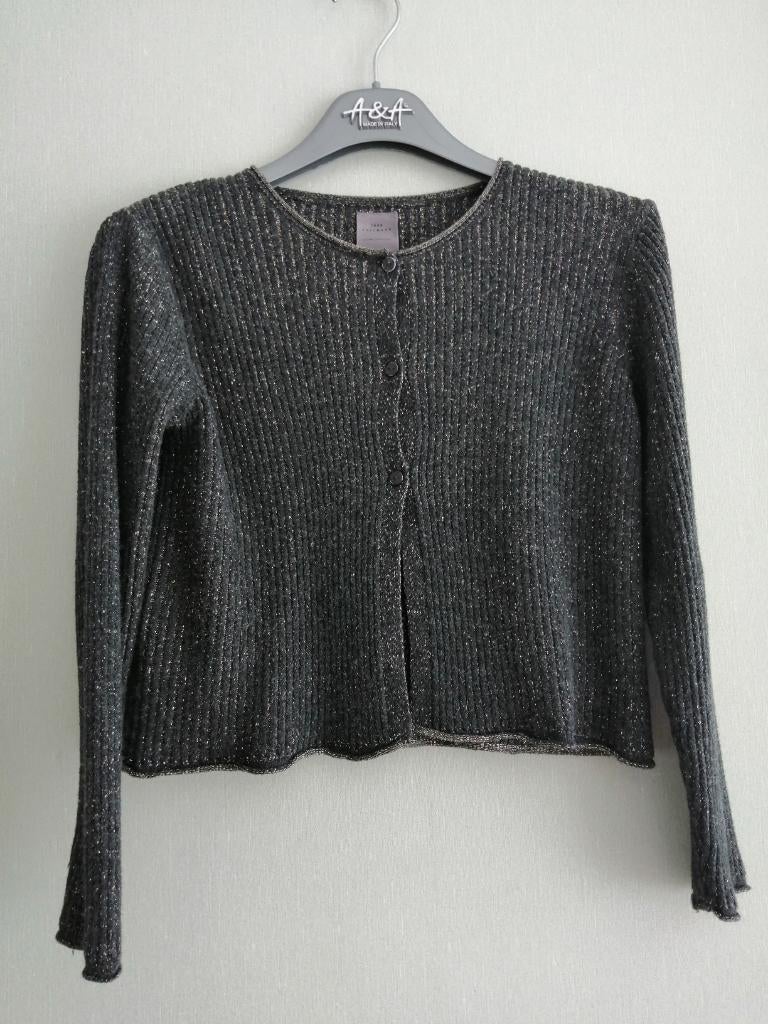 magnifique gilet Zara Knitwear taille 9 ans, Pull ou Veste, Utilisé, Zara Knitwear, Fille