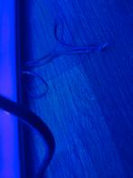 Trekkoord Duitse helm binnenwerk WO2., Verzamelen, Ophalen of Verzenden