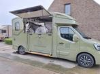 Paardencamionette te huur, Ophalen