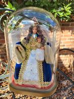 Mary sous une cloche de verre, Enlèvement