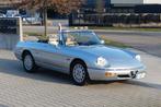Alfa Romeo Spider Serie 4, Autos, Alfa Romeo, Achat, Beige, Entreprise, Cabriolet