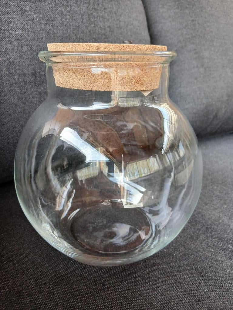 TRÈS BELLE GAMME DE PETITS PRIX EN PARFAIT ÉTAT, Enlèvement ou Envoi, Neuf