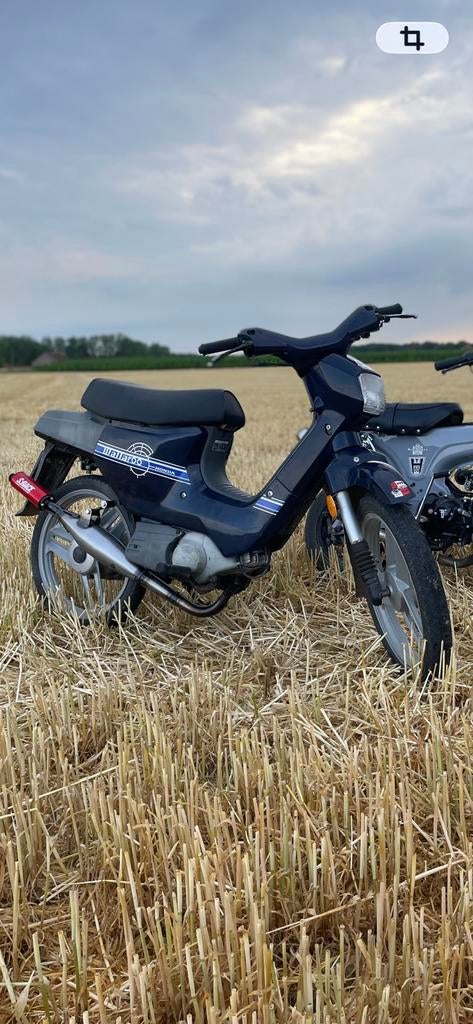 Honda wallaroo, Fietsen en Brommers, Brommers | Honda, Ophalen, Gebruikt, 0 versnellingen, Klasse A (25 km/u)