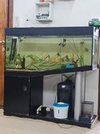 250l ..., Enlèvement ou Envoi