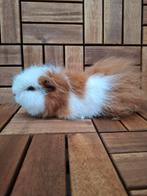 Ch teddy koppel ( zeug  en beer), Cavia, December, Meerdere dieren, Tam