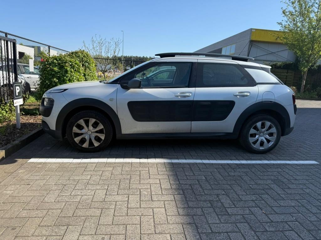 Citroën C4 Cactus - EXPORT, Autos, Citroën, Achat, Entreprise, 5 portes, 5 places