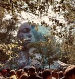 GEZOCHT! 1 of 2 Magnificent Greens W1 ticket Tomorrowland, Tickets en Kaartjes, Concerten | Pop