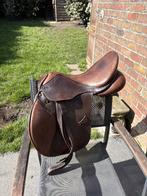 Paardenspullen te koop, Dieren en Toebehoren, Ophalen