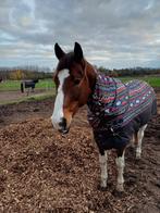 Winterdeken 300gr, Animaux & Accessoires, Chevaux & Poneys | Couvertures & Couvre-reins, Full (L), Couverture, 300 g, Protection du garrot