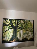 Heel groot stoffen doek in kader, Huis en Inrichting, Ophalen